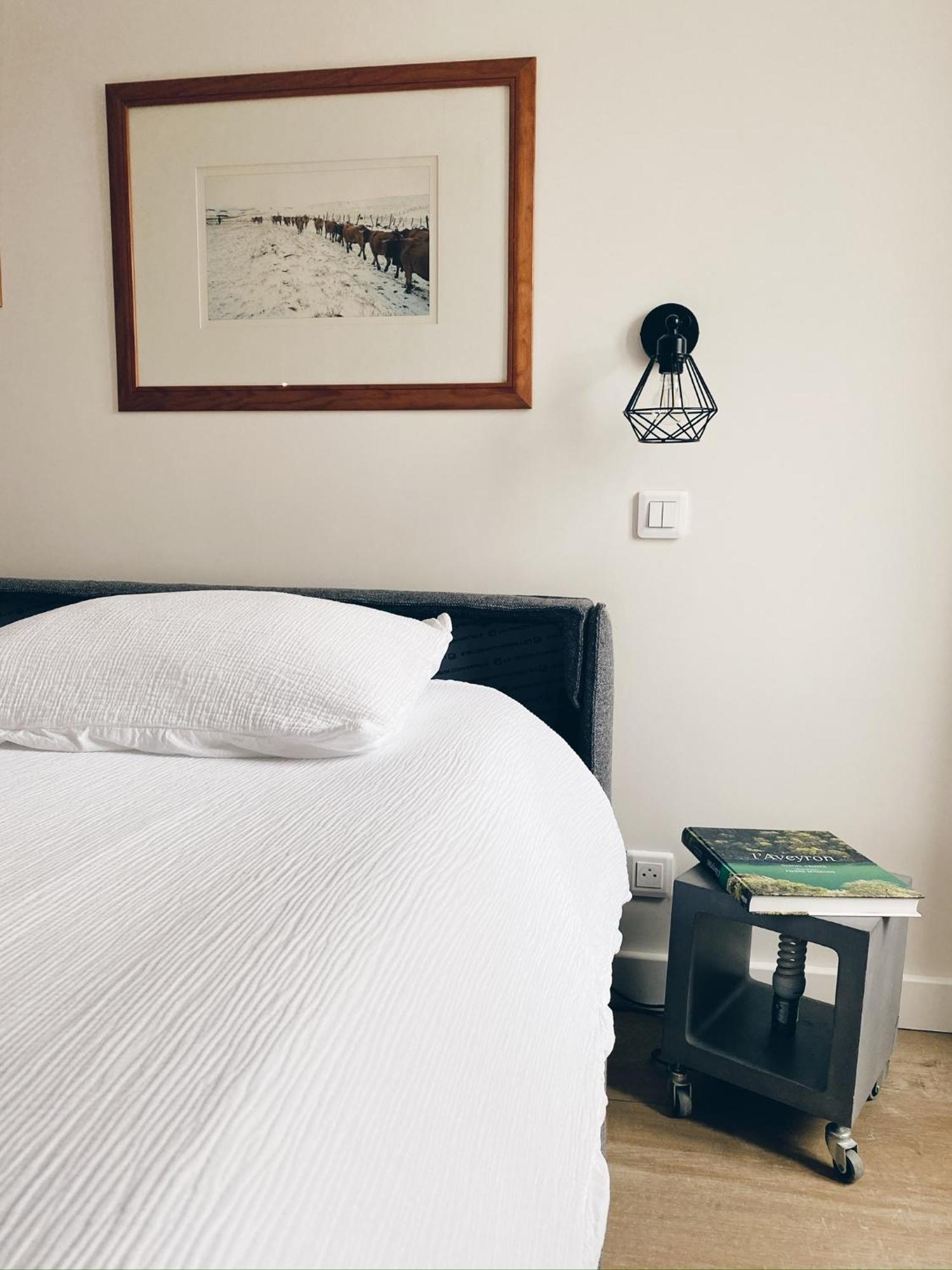 Le Regis Apartment Laguiole Bagian luar foto